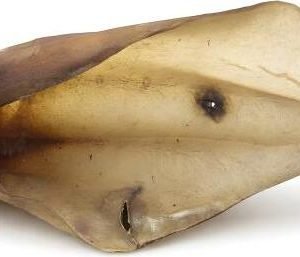 Bonezz - Buffeloren - 6 st