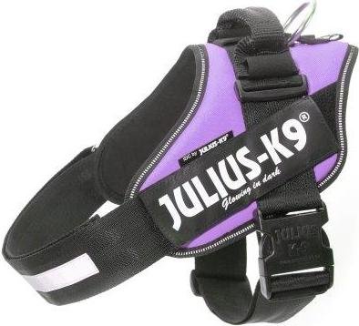 IDC Powertuig Paars - Maat 4 1 IDC Powertuig Paars - Maat 4
