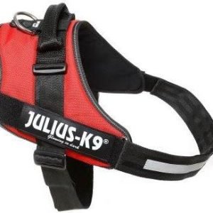 IDC Powertuig Rood - Maat 4