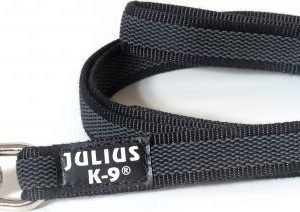 Korte lijn hond - Antislip - 20mm - Met handvat