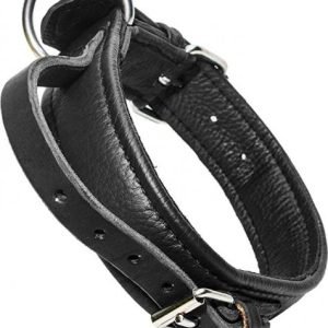 Eco Lederen halsband - Met handvat - 40mm x 50cm