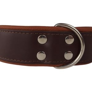 Leren hondenhalsband bruin/bruin