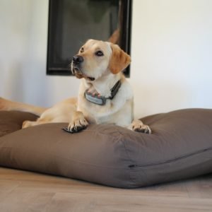 Dog's Companion® Hondenkussen taupe/bruin