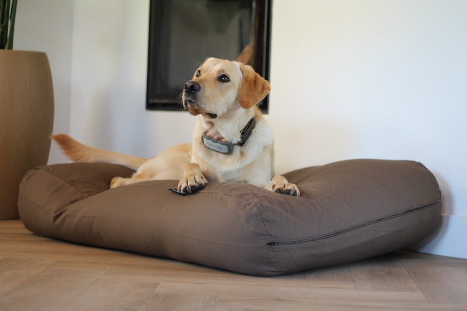 Dog's Companion® Hondenkussen taupe/bruin 1 Dog's Companion® Hondenkussen taupe/bruin