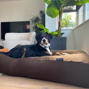 Dog's Companion® Hondenkussen chocolade bruin