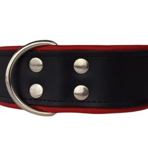 Leren hondenhalsband zwart / rood