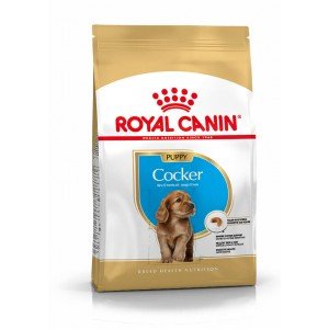 Royal Canin Puppy Cocker Spaniel hondenvoer 3 x 3 kg 1 Royal Canin Puppy Cocker Spaniel hondenvoer 3 x 3 kg